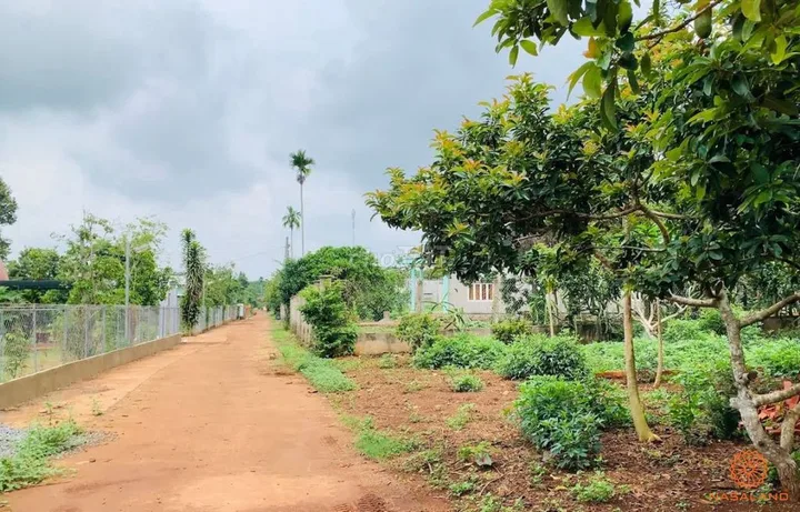 Bất động sản tại Bình Phước - ảnh 1