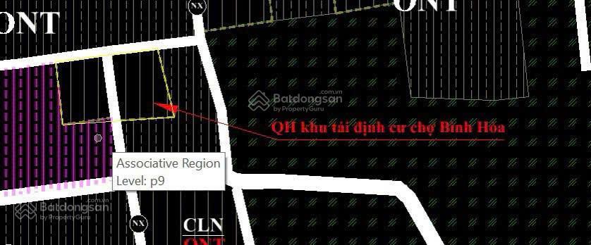 Bất động sản tại Đắk Lắk - ảnh 1