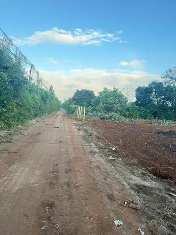 Bất động sản tại Đắk Lắk - ảnh 1