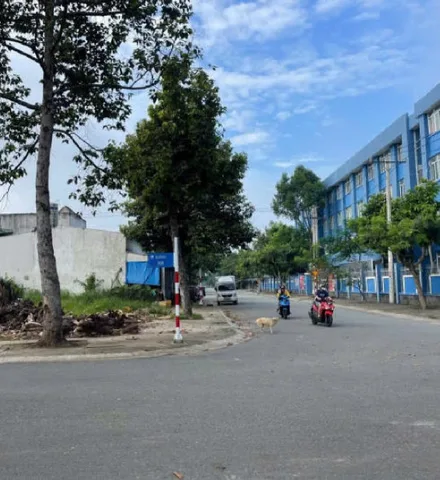 Bất động sản tại Bình Dương - ảnh 1