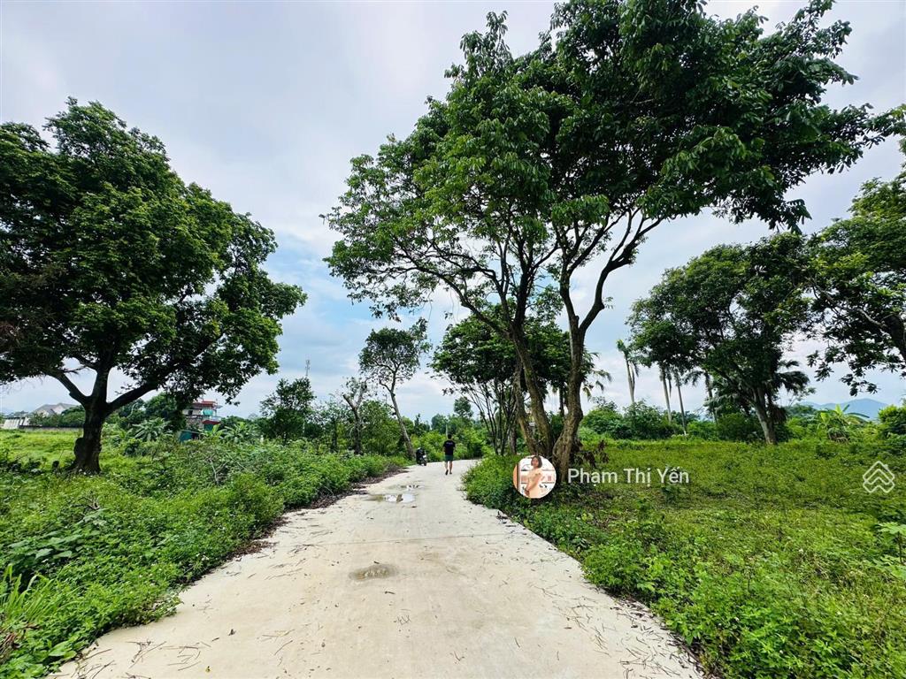 Bất động sản tại Hòa Bình - ảnh 1