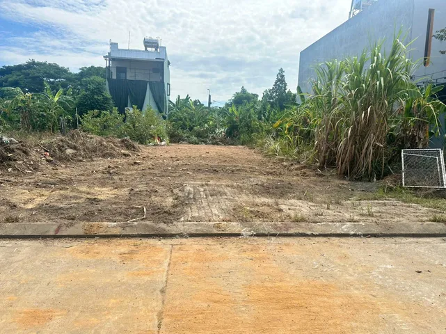 Bất động sản tại Đà Nẵng - ảnh 1