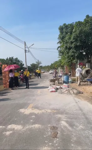 Bất động sản tại Bình Dương - ảnh 1