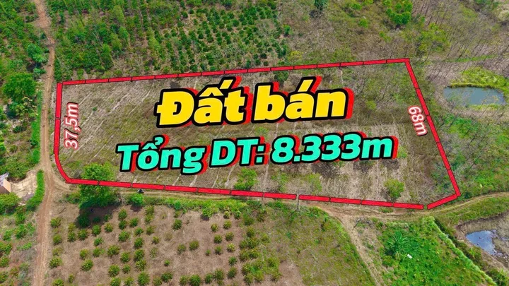 Bất động sản tại Đắk Lắk - ảnh 1
