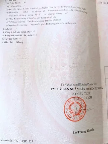 Bất động sản tại Quảng Ngãi - ảnh 1