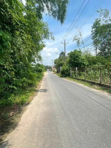 Bất động sản tại Bình Dương - ảnh 1