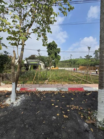 Bất động sản tại Phú Thọ - ảnh 1