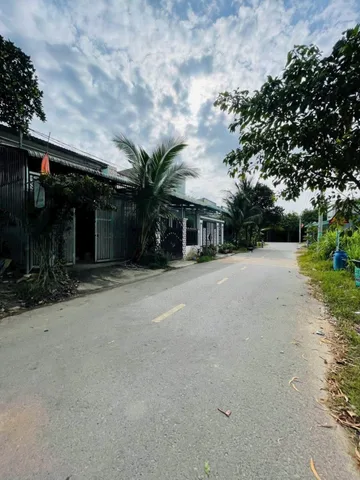 Bất động sản tại Bình Dương - ảnh 1