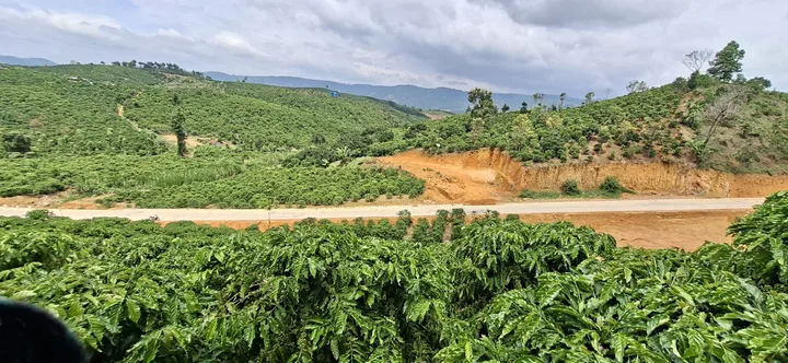 Bất động sản tại Lâm Đồng - ảnh 1