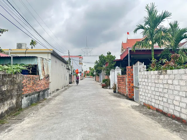 Bất động sản tại Hải Phòng - ảnh 1