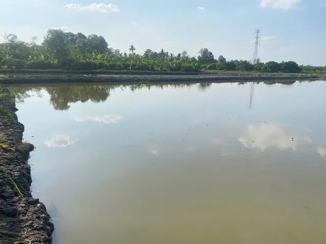 Bất động sản tại Vĩnh Long - ảnh 1