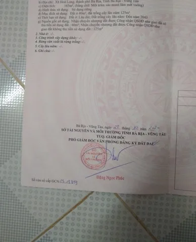 Bất động sản tại Bà Rịa - Vũng Tàu - ảnh 1