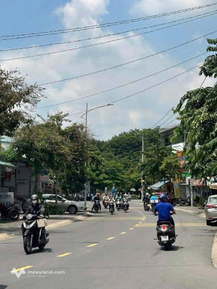 Bất động sản tại Bình Dương - ảnh 1