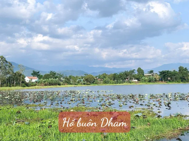 Bất động sản tại Đắk Lắk - ảnh 1