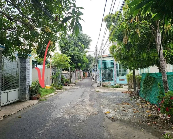 Bất động sản tại Bình Dương - ảnh 1
