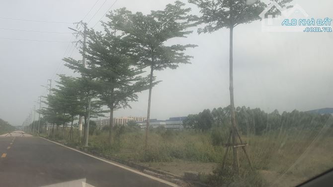 Bất động sản tại Bắc Giang - ảnh 1