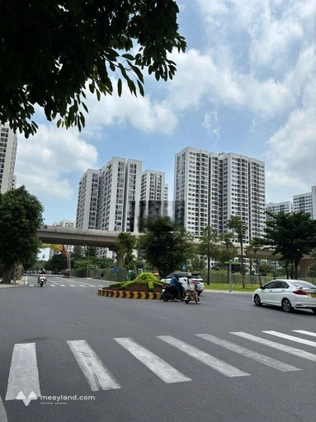 Bất động sản tại TP. Hồ Chí Minh - ảnh 1