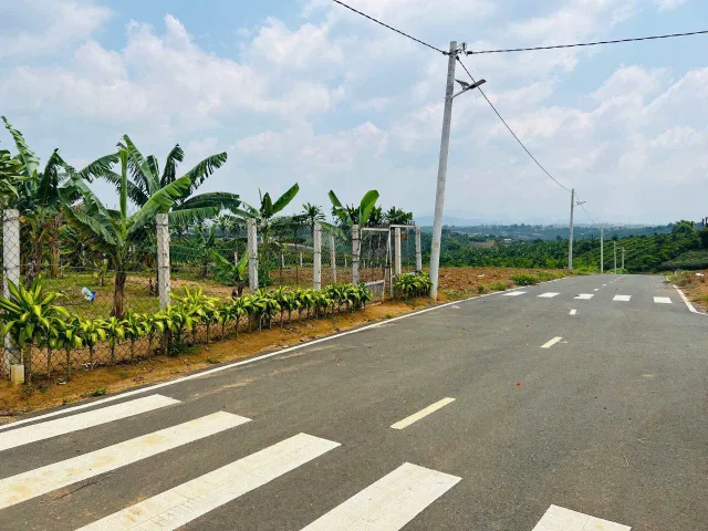 Bất động sản tại Lâm Đồng - ảnh 1