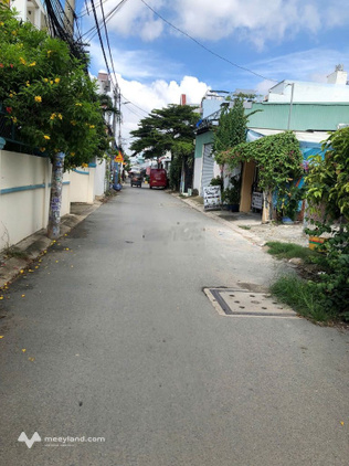Bất động sản tại TP. Hồ Chí Minh - ảnh 1