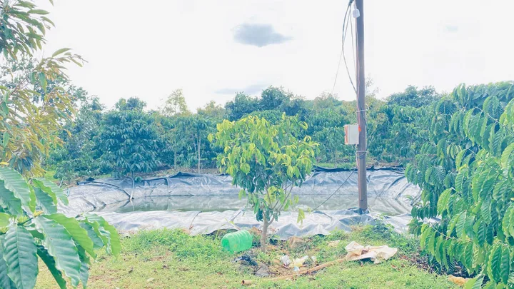 Bất động sản tại Lâm Đồng - ảnh 1