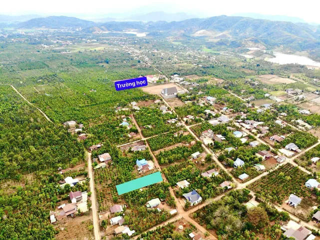 Bất động sản tại Đắk Lắk - ảnh 1