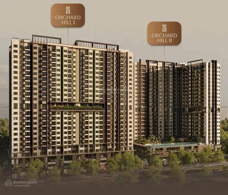 Bất động sản tại Bình Dương - ảnh 1