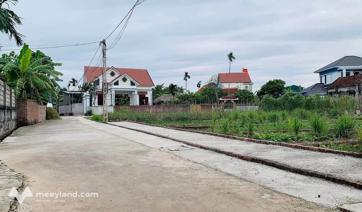 Bất động sản tại Long An - ảnh 1