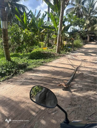 Bất động sản tại Bến Tre - ảnh 1