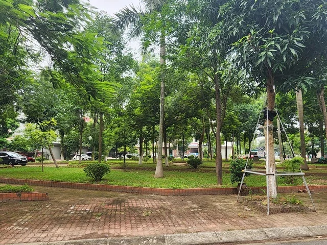 Bất động sản tại Bắc Ninh - ảnh 1