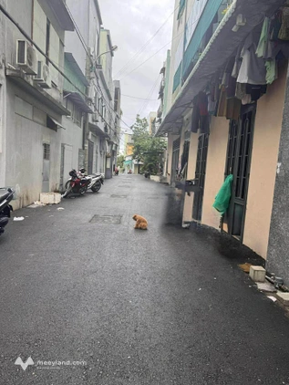 Bất động sản tại Đà Nẵng - ảnh 1