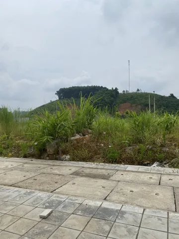 Bất động sản tại Lào Cai - ảnh 1