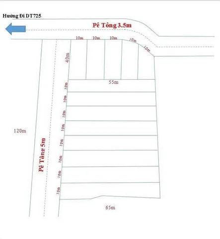 Bất động sản tại Lâm Đồng - ảnh 1