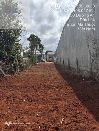 Bất động sản tại Đắk Lắk - ảnh 1