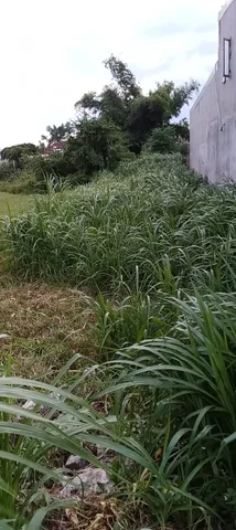 Bất động sản tại Gia Lai - ảnh 1