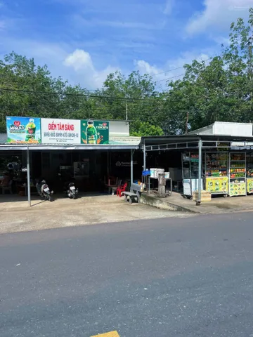 Bất động sản tại Bình Dương - ảnh 1