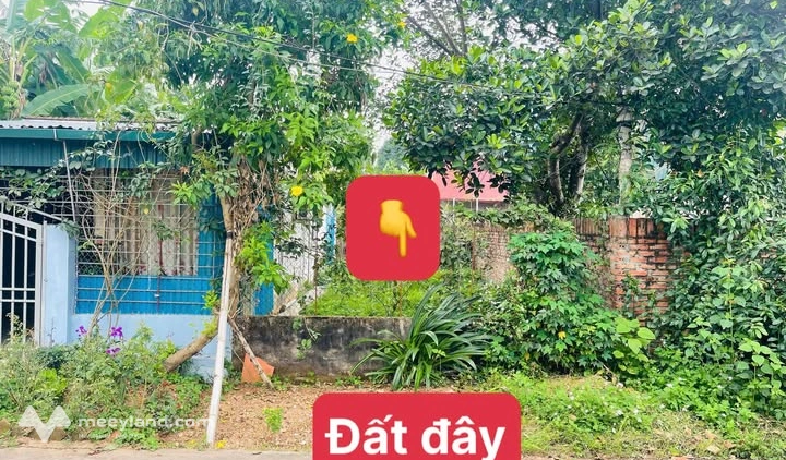 Bất động sản tại Phú Thọ - ảnh 1