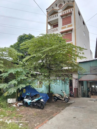 Bất động sản tại Bắc Ninh - ảnh 1