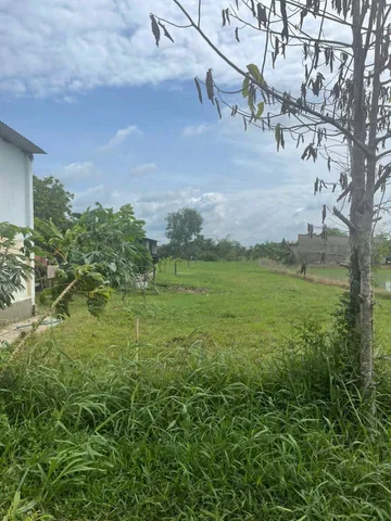 Bất động sản tại Tây Ninh - ảnh 1