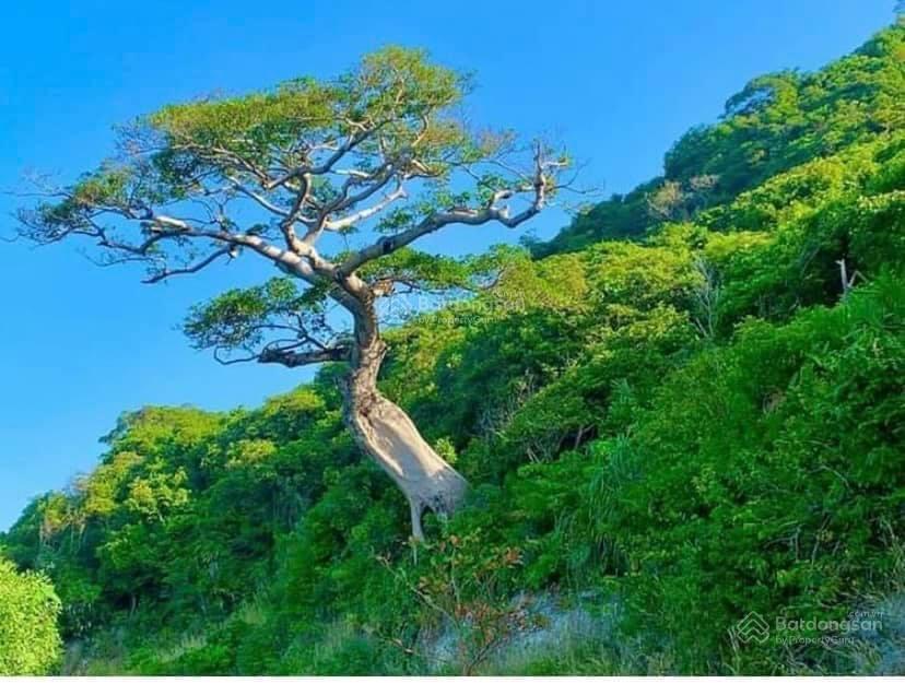 Bất động sản tại Kiên Giang - ảnh 1