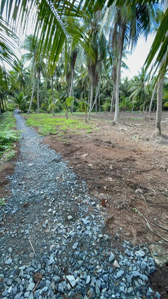 Bất động sản tại Tiền Giang - ảnh 1