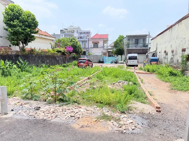 Bất động sản tại TP. Hồ Chí Minh - ảnh 1