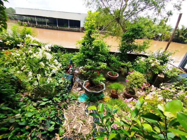 Bất động sản tại Bến Tre - ảnh 1