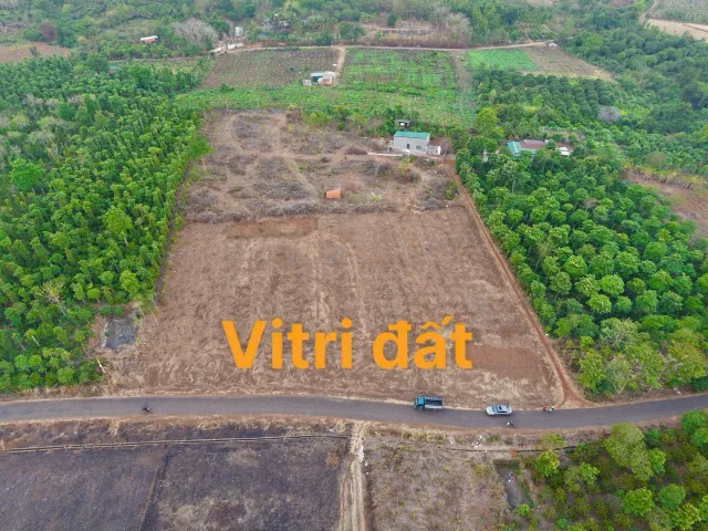 Bất động sản tại Đắk Lắk - ảnh 1