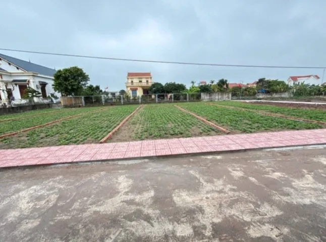 Bất động sản tại Nam Định - ảnh 1