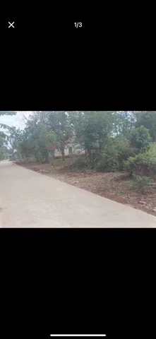 Bất động sản tại Đắk Lắk - ảnh 1
