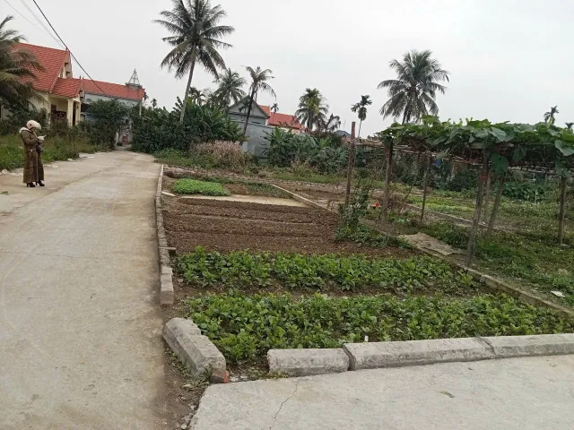 Bất động sản tại Hải Phòng - ảnh 1