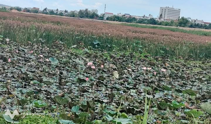 Bất động sản tại Phú Yên - ảnh 1