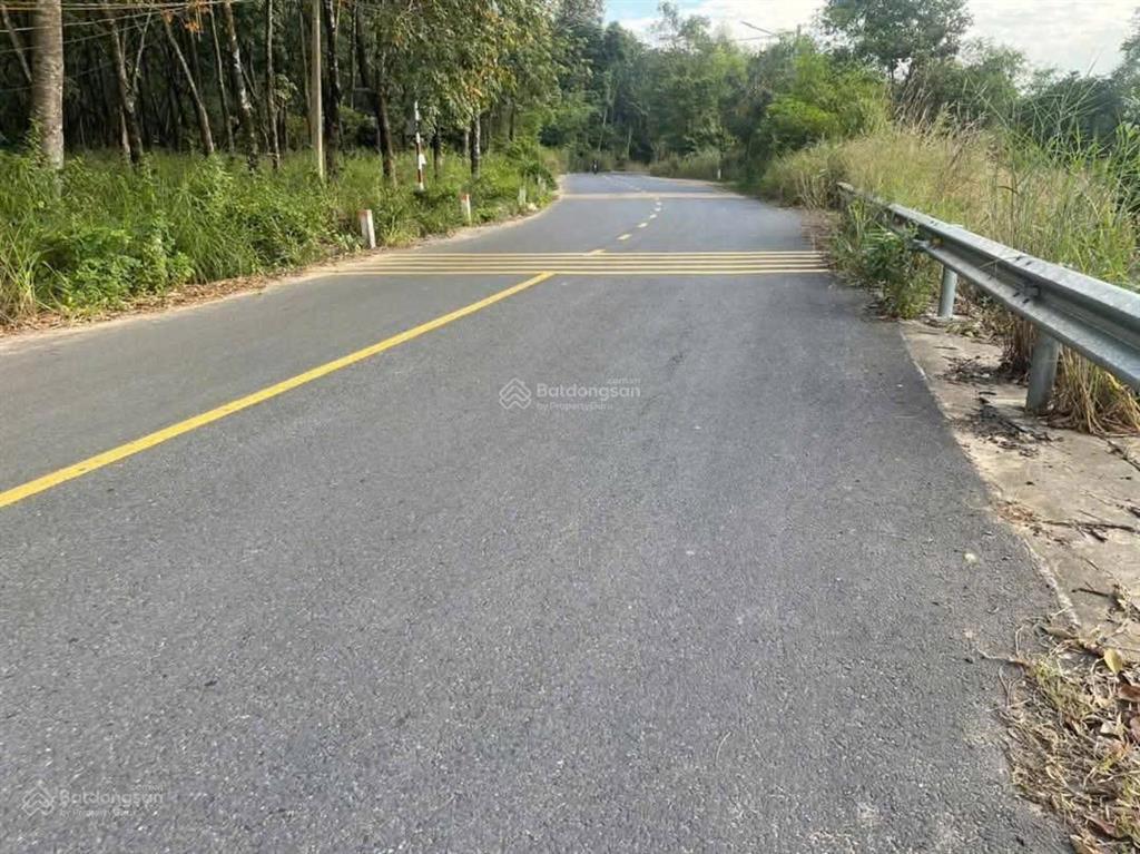 Bất động sản tại Bình Dương - ảnh 1