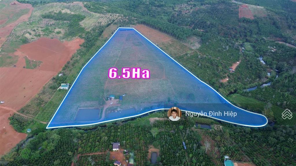 Bất động sản tại Đắk Nông - ảnh 1