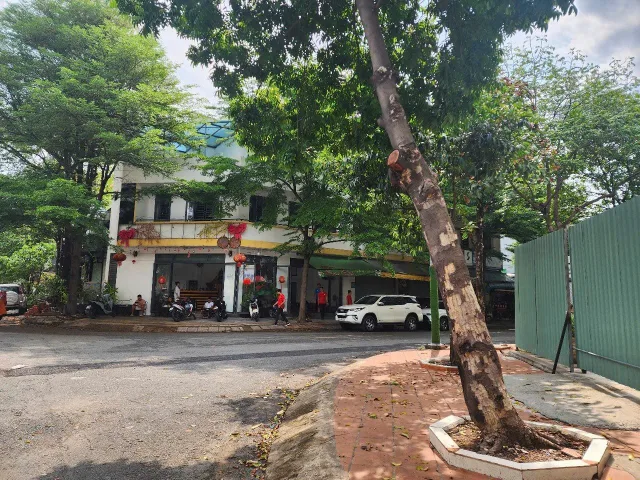 Bất động sản tại Bình Dương - ảnh 1